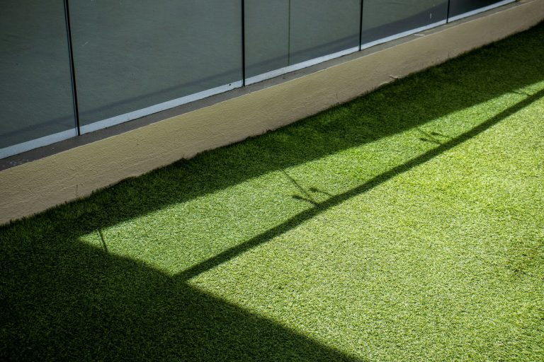 The Green Carpet: Transform Your Yard with Sod Installation